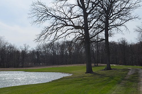 Property photo 86 - REAL ESTATE & PERSONAL PROPERTY AUCTION, 140 Acres offered in 8 Tracts or Combinations in Steuben County